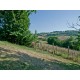 Properties for Sale_Farmhouses to restore_FARMHOUSE TO RENOVATE FOR SALE IN THE MARCHE IN A WONDERFUL PANORAMIC POSITION SURROUNDED BY A PARK in Le Marche_34